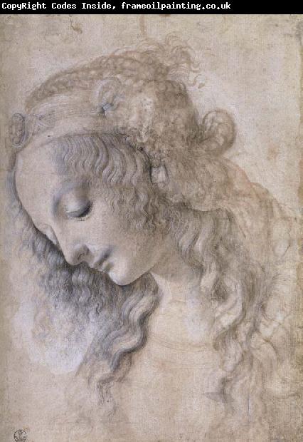 LEONARDO da Vinci Woman portrait
